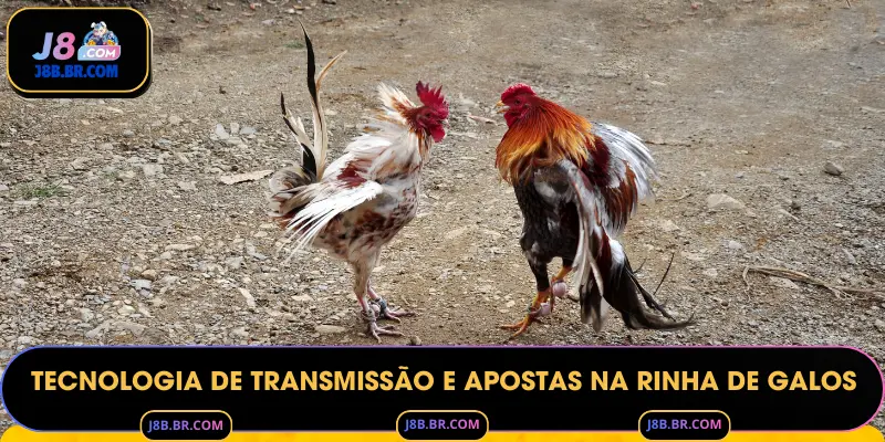 Tecnologia de Transmissão e Apostas na Rinha de Galos