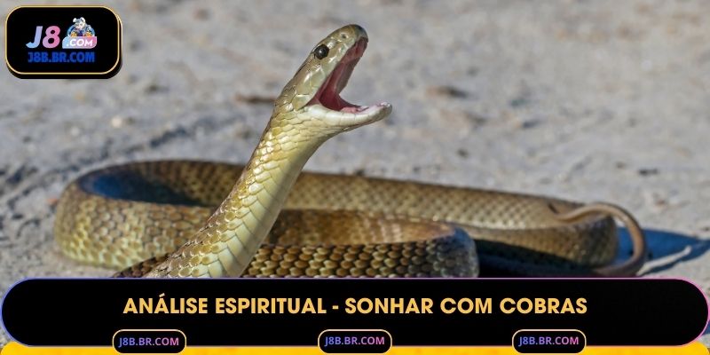 Análise Espiritual - Sonhar com Cobras