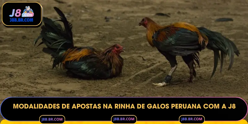 Modalidades de Apostas na Rinha de Galos Peruana com a J8