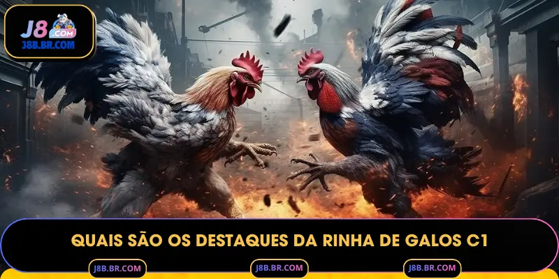 Quais são os Destaques da Rinha de Galos C1
