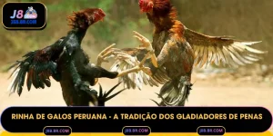 Rinha de galos peruana - A Tradição dos Gladiadores de Penas