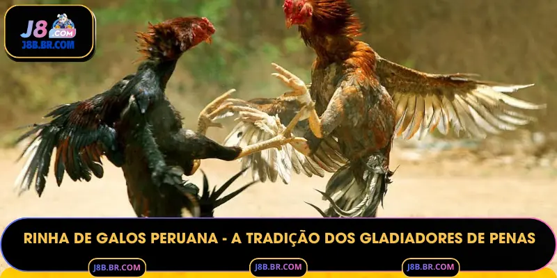 Rinha de galos peruana - A Tradição dos Gladiadores de Penas