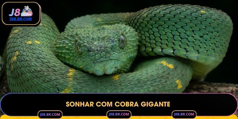Sonhar com Cobra Gigante