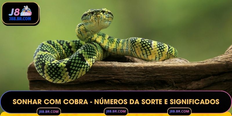 Sonhar com Cobra - Números da Sorte e Significados